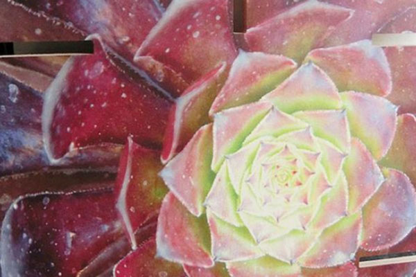 uv平板机打印的密度板图案 uv平板机打印的密度板图案